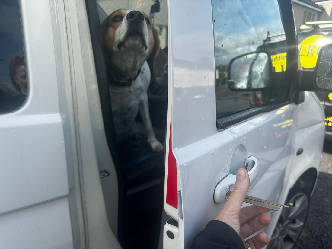 LKC locksmith opening the customer's van door to free the trapped dog